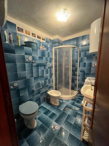 a blue tiled bathroom with a toilet and a shower at Intera casa con giardino, vista mare e montagna in Maratea