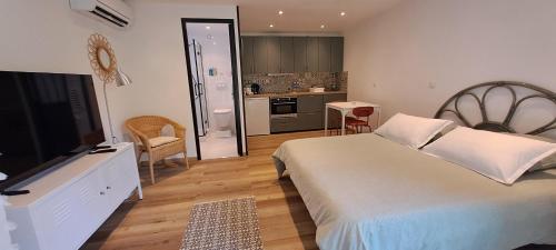 a bedroom with a large bed and a television at Studio calme proche de Nice in Colomars