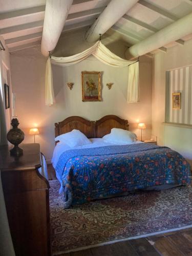 a bedroom with a large bed in a room at Campagne Baudeloup in L'Isle-sur-la-Sorgue