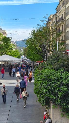 Sunny Terrace Oasis with Mont Blanc View in Central Geneva
