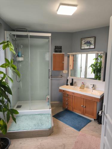 a bathroom with a shower and a sink at Chambre, comme au cinéma in Givet