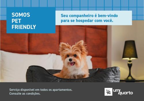 a dog sitting in a dog bed on a bed at Manhattan Floor in Curitiba