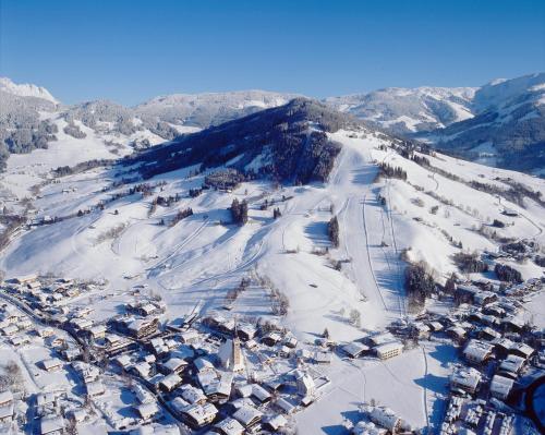 Chalet Sonne durante el invierno