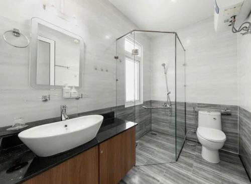 a bathroom with a sink and a toilet and a mirror at villa danisa hoa in Khu Chi Lăng