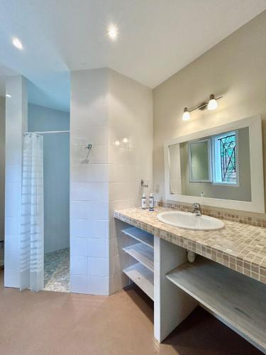 a bathroom with a sink and a shower and a mirror at La Maison du Square in La Teste-de-Buch
