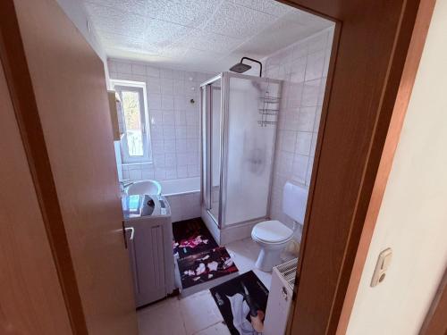 a small bathroom with a shower and a toilet at Gästehaus Nachtigall 2 in Gädheim