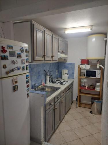a kitchen with a white refrigerator and a sink at Studio petite perle in Bargemon