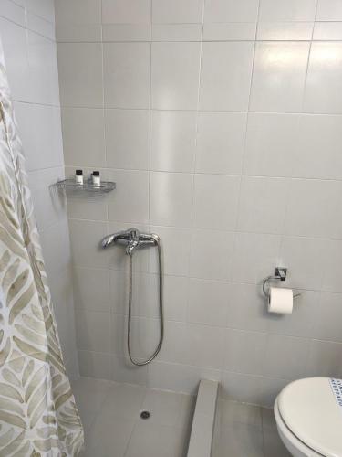 a bathroom with a shower and a toilet at Lounetta Apartments 2 in Missolonghi