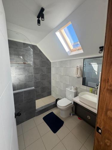 a bathroom with a toilet and a sink and a skylight at Apartamentos Entre Fronteras in Punta Arenas