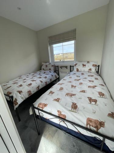 a bedroom with two beds and a window at The Glen Lodges, Muriel Cabin in Auckingill