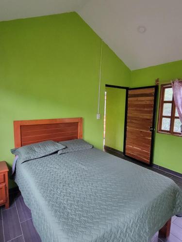 a green bedroom with a bed and a window at La cabaña del sabino in Ayutla