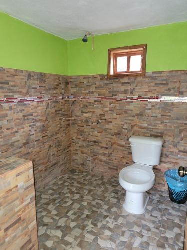 a bathroom with a toilet and a green wall at La cabaña del sabino in Ayutla