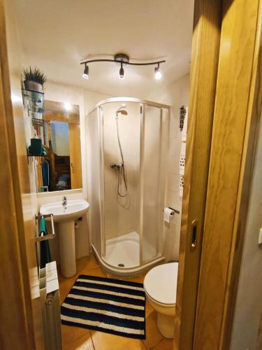 a bathroom with a shower and a toilet and a sink at Acojedor dúplex en la naturaleza in Valencia de Aneu