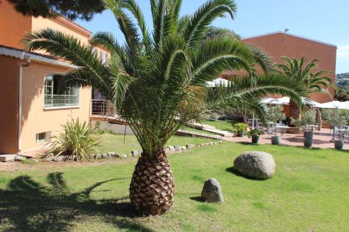 a palm tree in a yard next to a building at Hôtel Les Lentisques in Cargèse