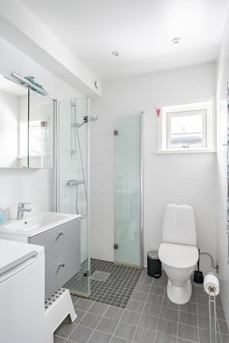 a bathroom with a toilet and a sink and a shower at Kungsberget Ski apartment 31C in Järbo