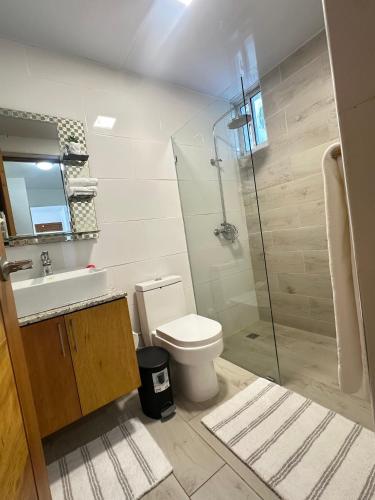 a bathroom with a toilet and a glass shower at residencial enmanuel 1 in Hoya del Caimito