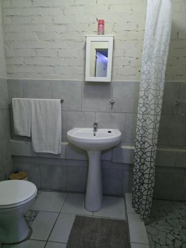 a bathroom with a sink and a toilet and a mirror at Vista Ree Guesthouse Pty Ltd in Taung
