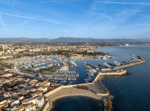 Petite fleur - Studio Vieil Antibes-Plage à 5 min