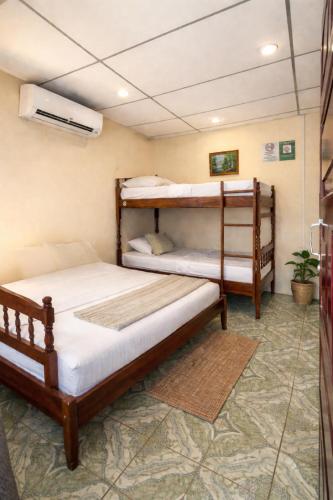 two bunk beds in a room with at Hostal Los Chamos in San Juan del Sur