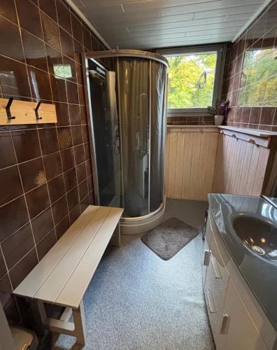 a small bathroom with a shower and a sink at Domaine Heyen in Waimes