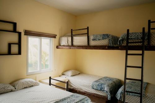 a room with three bunk beds and a window at Casa La Yola in Monterrico