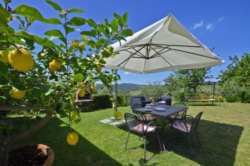 a table and chairs under a white umbrella at Da Maria - Happy Rentals in Murlo