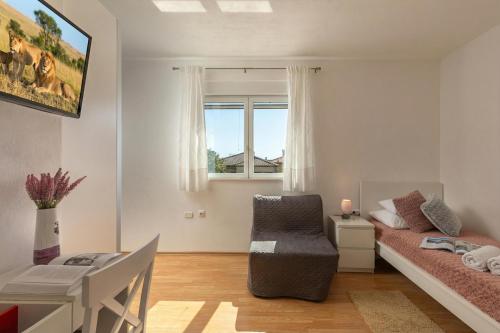 Asteria Villa with Private Pool - Labin