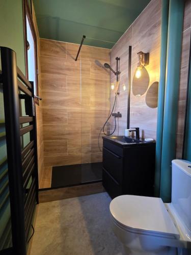 a bathroom with a toilet and a shower at L'Empreinte in Cahors