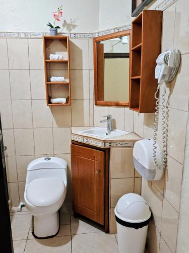 a bathroom with a toilet and a sink and a phone at Alinas House in Fortuna