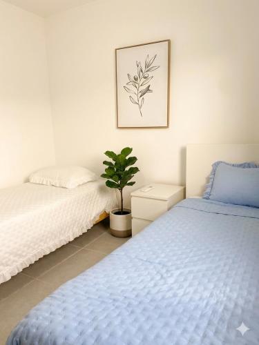 a bedroom with two beds and a potted plant at Samana condo by the beach in Las Terrenas