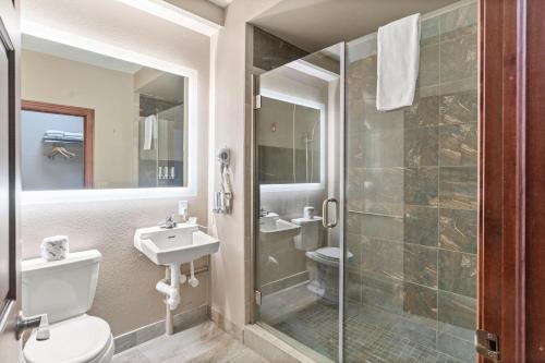 a bathroom with a shower and a toilet and a sink at Edgewater Hotel and Suites in Put-in-Bay