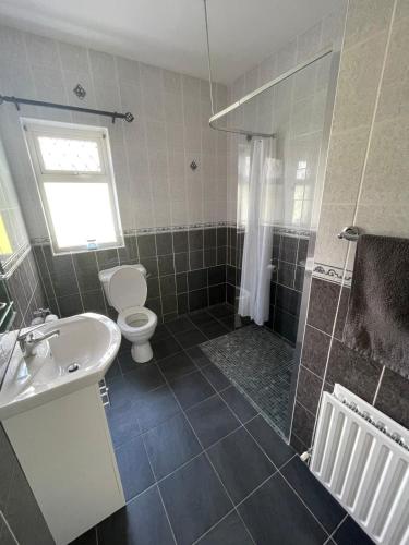 a bathroom with a toilet and a shower and a sink at Island Place in Castleisland