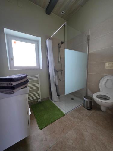 a bathroom with a shower and a toilet at Gîte Le Campagnard in Saint-Germain-des-Bois