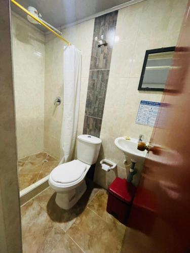 a bathroom with a toilet and a shower and a sink at Hotel Colonial Betulia D in Tunja