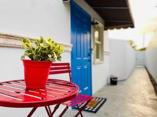 a red table with a potted plant on top of it at Sleeps 3, Cozy, Boho Style, in the heart of Miami -free parking in Miami