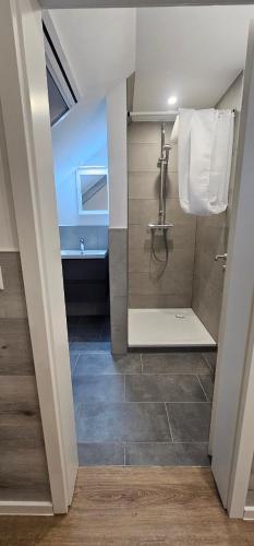 a bathroom with a shower and a sink at Gästehof Bützfleth in Stade