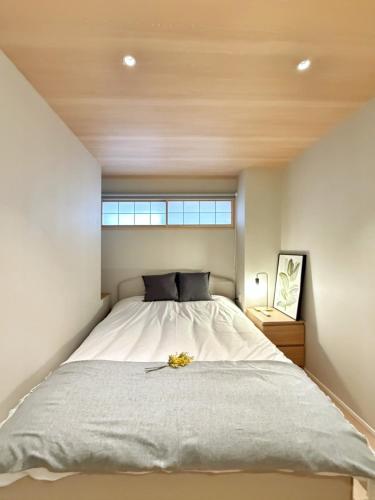 LQ101,Iriya 10 Min, Near Ueno, Double with Bath