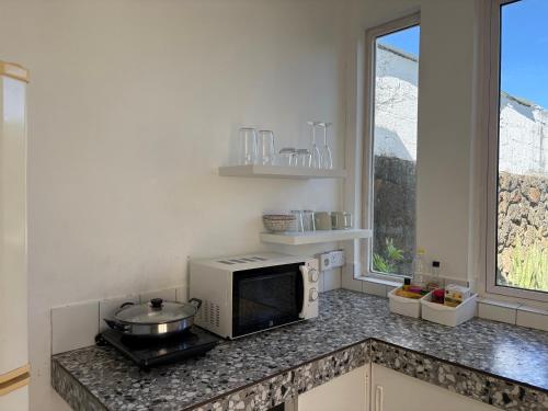 a kitchen with a microwave on a counter with a window at Studio tout confort avec piscine pour les amoureux des toutous in Roches Noires