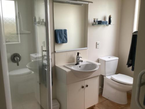 a bathroom with a sink and a toilet and a shower at Albert Mews B and B in Whitianga
