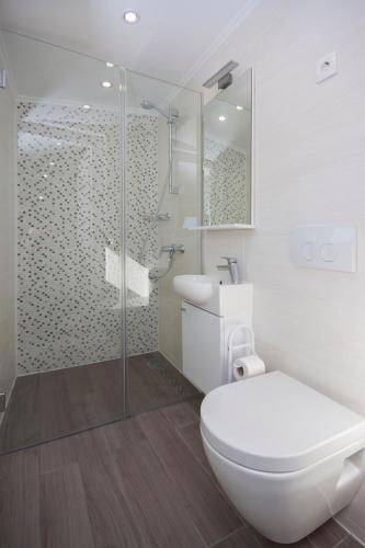 a bathroom with a toilet and a glass shower at Apartments Dalmata in Krapanj