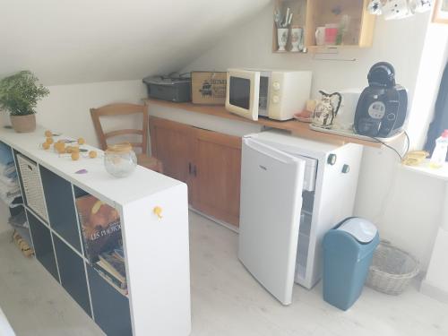 a kitchen with a white refrigerator and a microwave at La chambre CHAT,au coeur des Vosges in Ferdrupt
