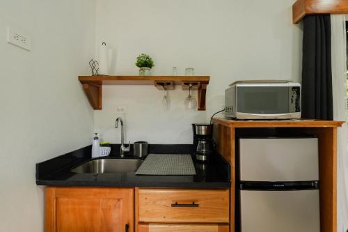 a small kitchen with a sink and a microwave at Creekside Lofts #1 in Fortuna