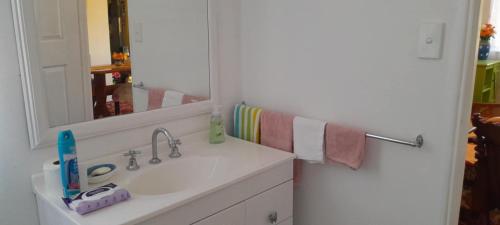 a bathroom with a sink and a mirror at Blue Flower Cottage in Lightning Ridge