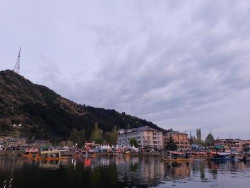 a group of boats are docked in a body of water at Island homestay in dal lake in Srinagar