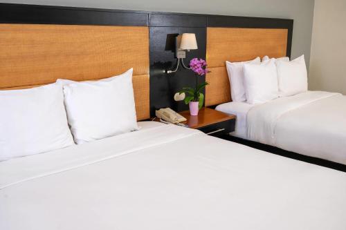 two beds in a hotel room with white pillows at Radisson Hotel Santo Domingo in Santo Domingo
