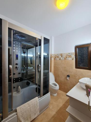 a bathroom with a tub and a toilet and a sink at Casa cu pastravi in Sinaia