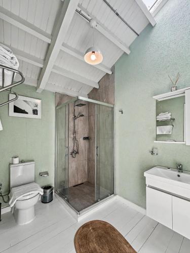 a bathroom with a shower with a toilet and a sink at Hanole Macaron Guest House in Ayvalık