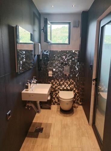 a bathroom with a sink and a toilet at UB Prenociste in Vranjska Banja