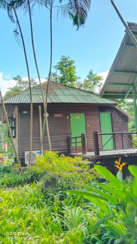 a house with green doors and a yard with plants at Ban Chomdoi บ้านชมดอย in Ban Dong