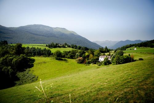 a green field with a house on top of a hill at Gîte Le Cot en Vallée d'Ossau in Sainte-Colome